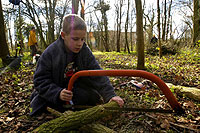 Sawing The Branches