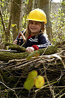 Cutting The Branches
