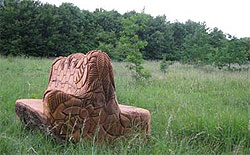 Bench carved from a sweet chestnut tree