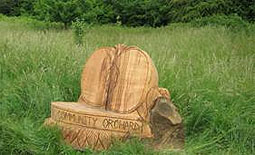 Bench carved from a sweet chestnut tree