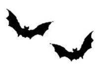 Bat Walk