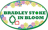 BSiB logo