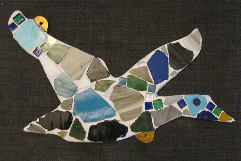 Photo of a Mosaic Bird