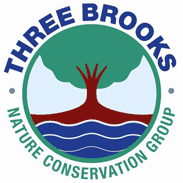 Workday: Tidying the community orchard and planting insect-friendly plants