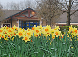 Bradley Stoke in Bloom - July Workday