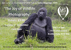 The Joy of Wildlife Photography