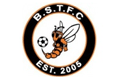 Bradley Stoke Town Football Club