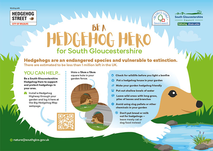 Poster advertising the Hedgehog Hero campaign