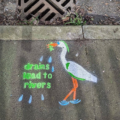 Photo of Only Rain Down the Drain Campaign in March 2026