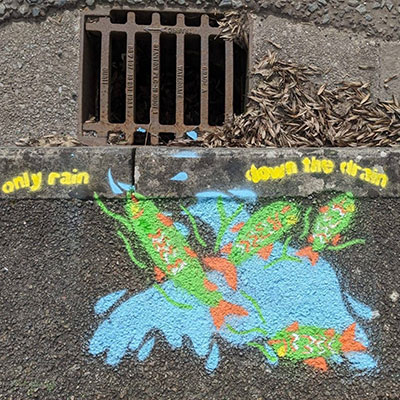 Photo of Only Rain Down the Drain Campaign in March 2026