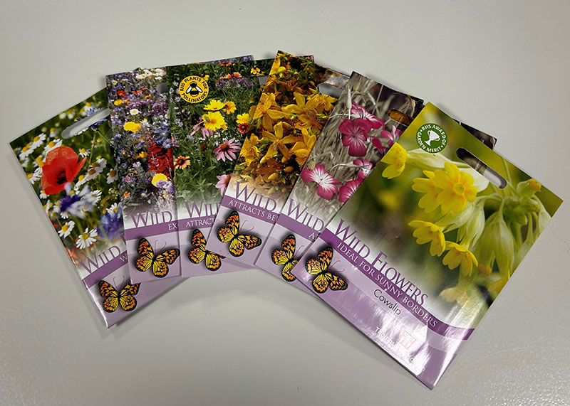 Photo of Wildflower seed packets