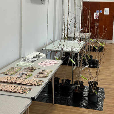 Photo of Free Tree Event in Bradley Stoke in January 2026