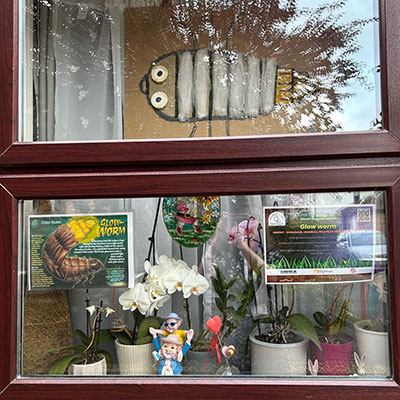 Photo from the Bug Trail 2025 - Ormonds Close