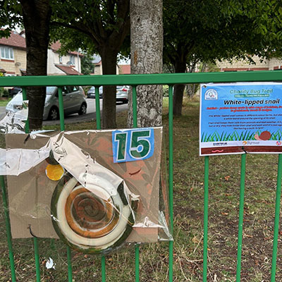 Photo from the Bug Trail 2025 - Paddock Close Play Area