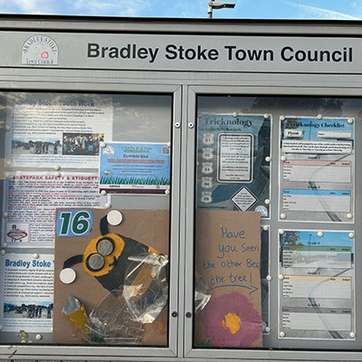 Photo from the Bug Trail 2025 - Skatepark