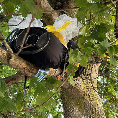 Photo from the Bug Trail 2025 - Skatepark