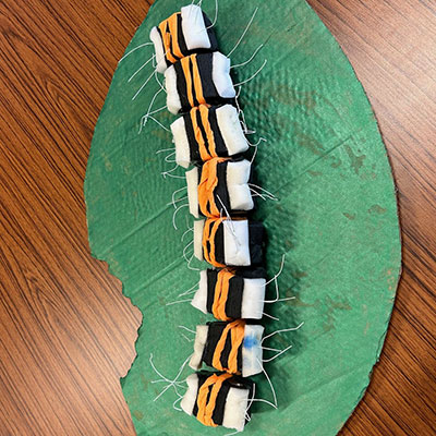 Photo from a Bug Making Workshop