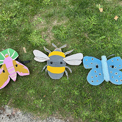 Photo from the Wildlife Weekend