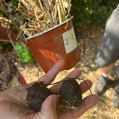 Photo from the Wildlife Weekend