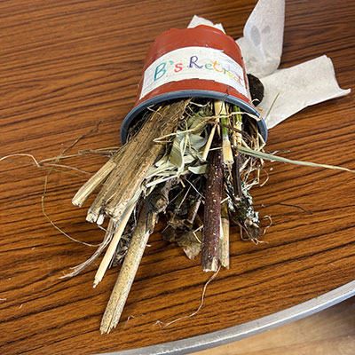 Photo from the Wildlife Weekend