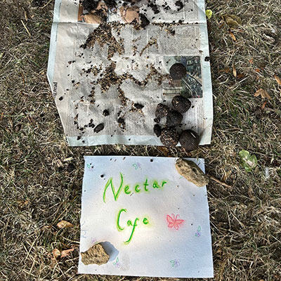 Photo from the Wildlife Weekend