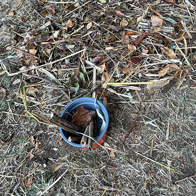 Photo from the Wildlife Weekend