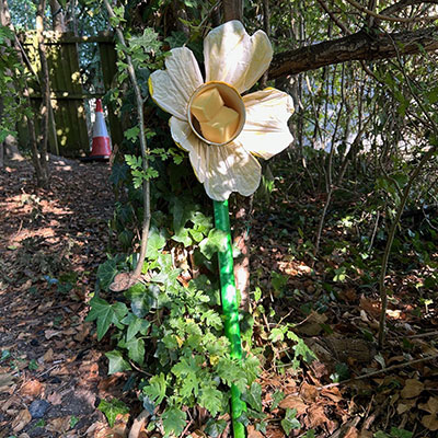 Photo from the Wildlife Weekend