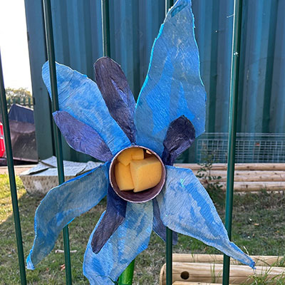 Photo from the Wildlife Weekend