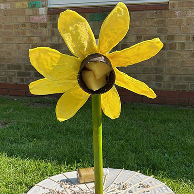 Photo from the Wildlife Weekend