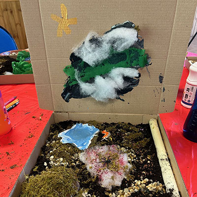 Photo from the Wildlife Weekend