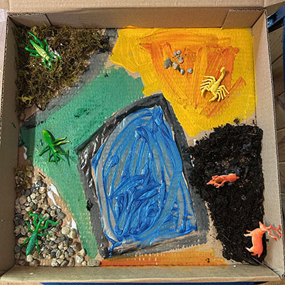 Photo from the Wildlife Weekend