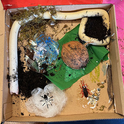 Photo from the Wildlife Weekend