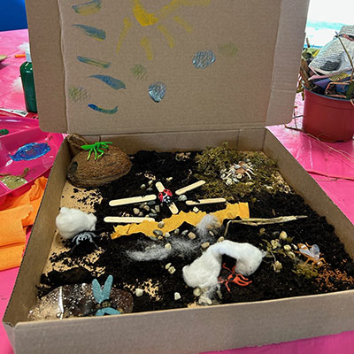 Photo from the Wildlife Weekend