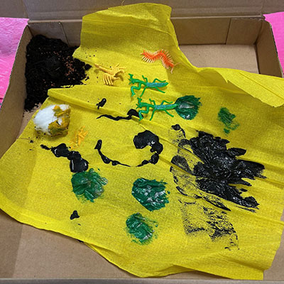 Photo from the Wildlife Weekend