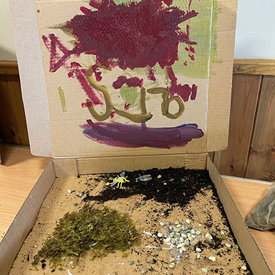 Photo from the Wildlife Weekend